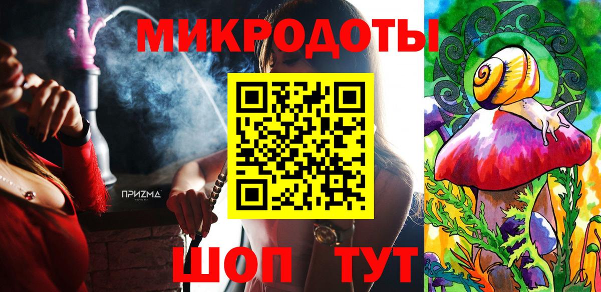 Псилоцибиновые грибы Psilocybe Йошкар-Ола
