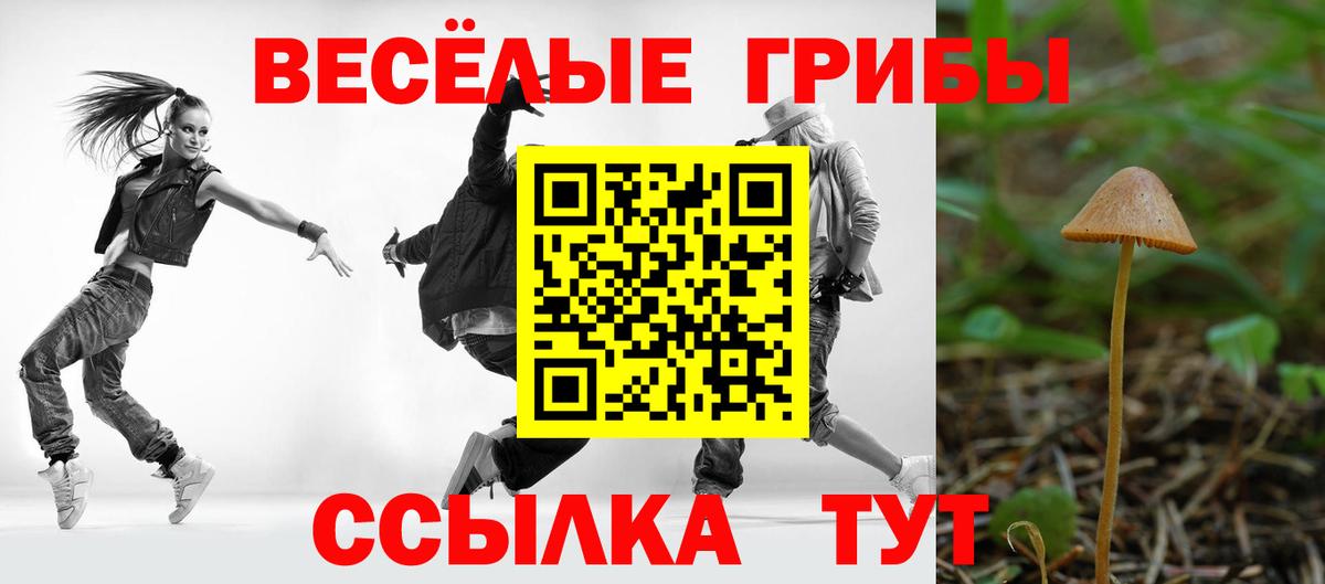 Галлюциногенные грибы ЛСД  Галлюциногенные грибы ЛСД  Йошкар-Ола  Вход с VPN 